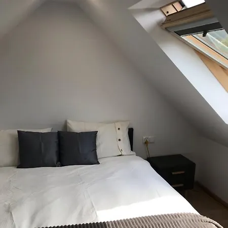 Lepaszowka Caloroczny Nr1 *
